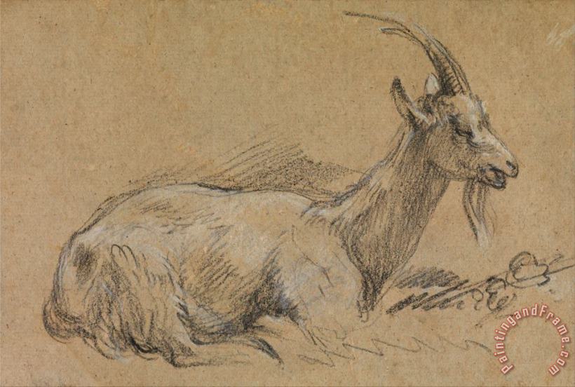 Study of a Goat painting - Gainsborough, Thomas Study of a Goat Art Print