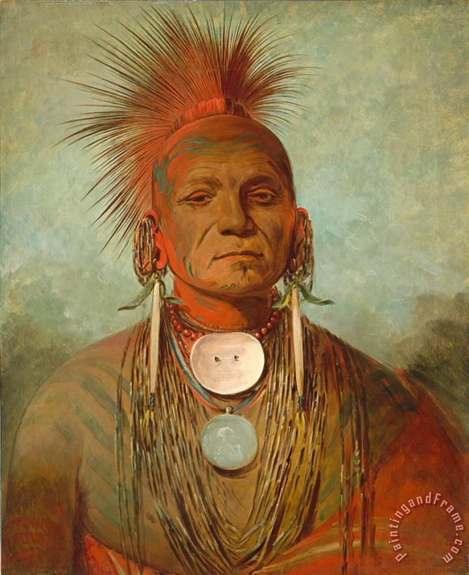 See Non Ty A An Iowa Medicine Man painting - George Catlin See Non Ty A An Iowa Medicine Man Art Print