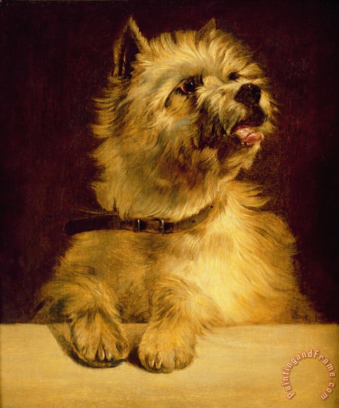Cairn Terrier painting - George Earl Cairn Terrier Art Print
