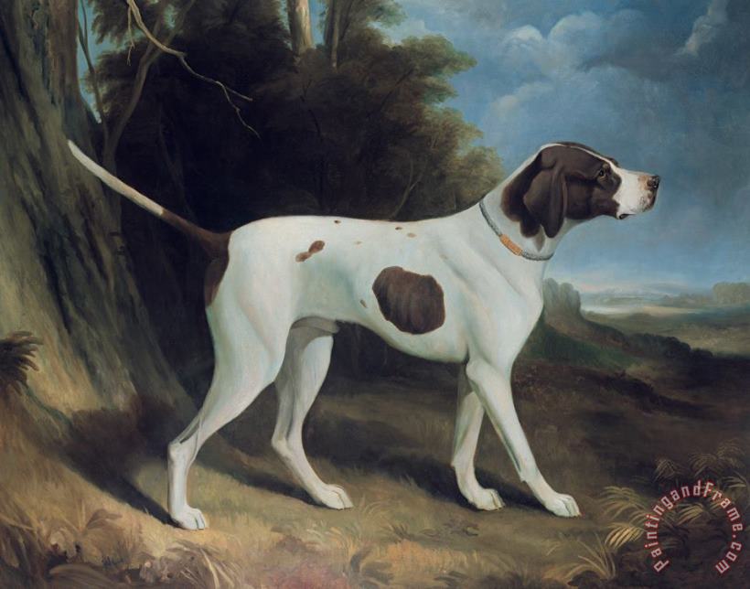 George Garrard Portrait of a liver and white pointer Art Painting