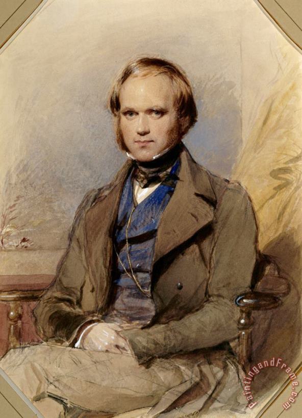 Charles Darwin painting - George Richmond Charles Darwin Art Print