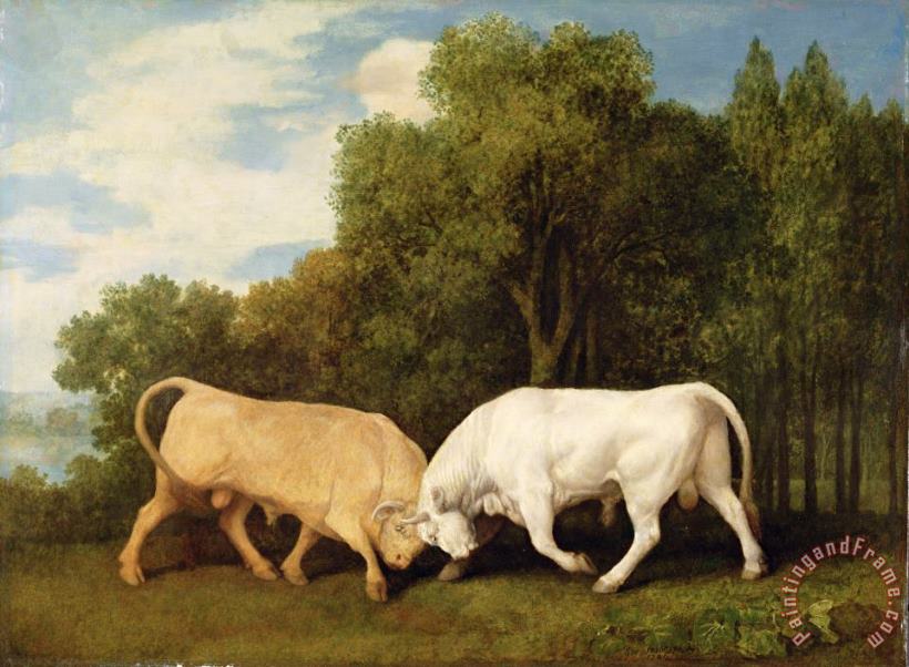 Bulls Fighting painting - George Stubbs Bulls Fighting Art Print