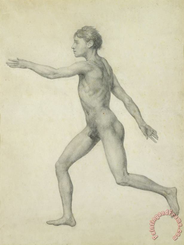 George Stubbs The Entire Human Figure From The Left Lateral View Art Painting