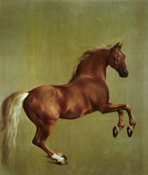 George Stubbs Whistlejacket