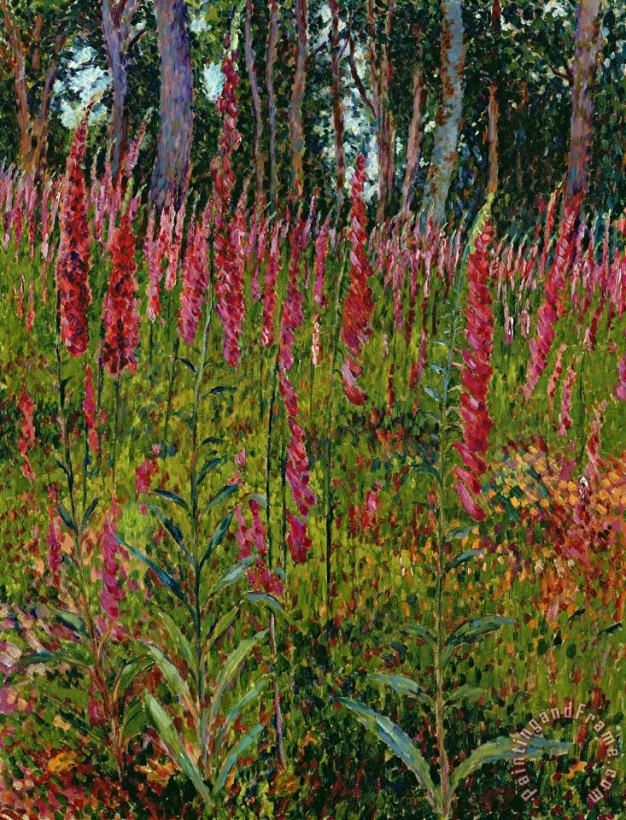 Foxgloves painting - Georges Lacombe Foxgloves Art Print