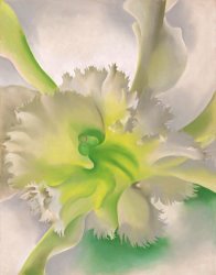 Georgia O'keeffe An Orchid