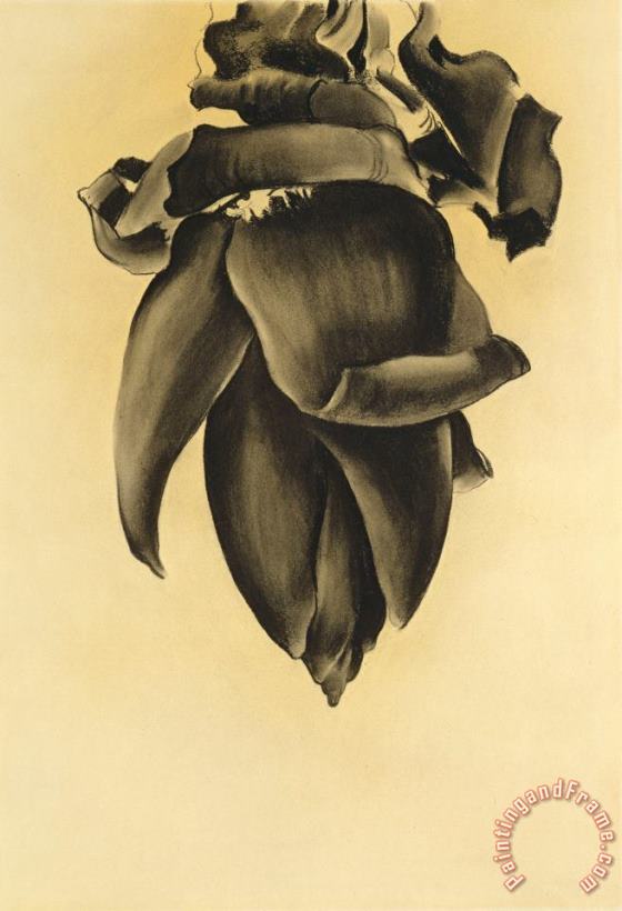 Banana Flower No. Ii, 1934 painting - Georgia O'keeffe Banana Flower No. Ii, 1934 Art Print