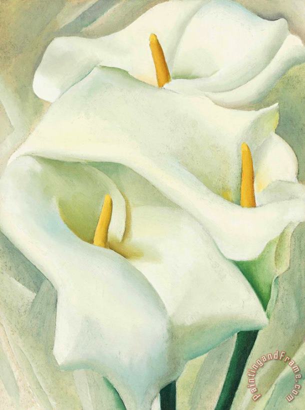 Georgia O'keeffe Calla Lilies, 1924 Art Painting
