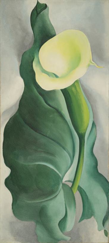 Georgia O'Keeffe Calla Lily (lily Yellow, No. 2) Art Painting