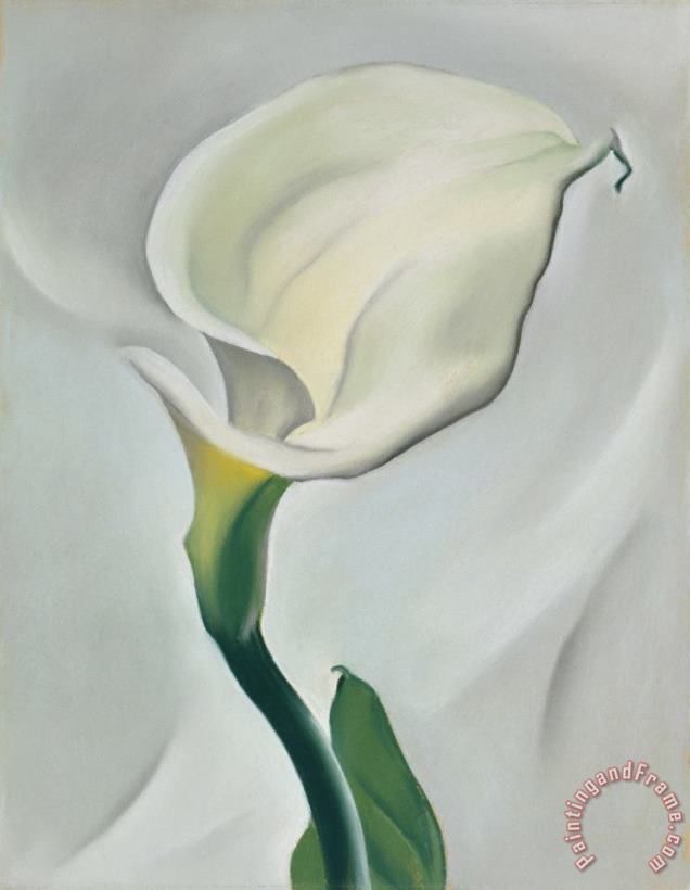 Calla Lily Turned Away painting - Georgia O'Keeffe Calla Lily Turned Away Art Print