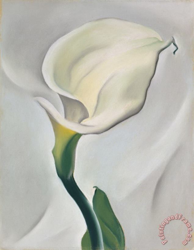 Georgia O'keeffe Calla Lily Turned Away, 1923 Art Painting