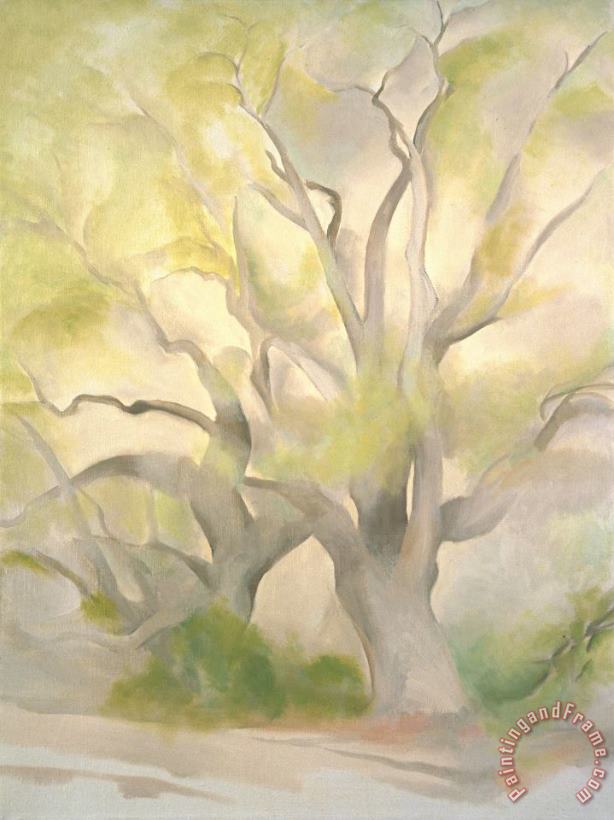 Georgia O'keeffe Green Tree, 1953 Art Painting