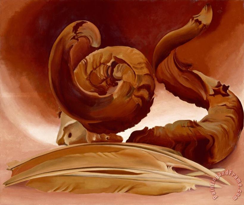 Horn And Feathers, 1937 painting - Georgia O'keeffe Horn And Feathers, 1937 Art Print