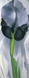 Georgia O'keeffe Iris 7