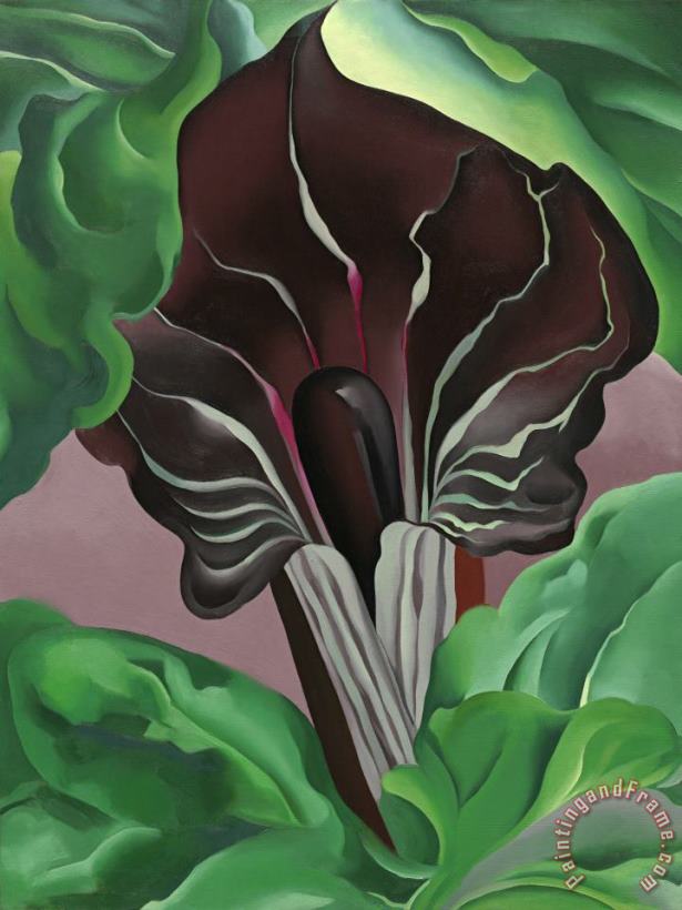 Georgia O'Keeffe Jack in Pulpit No. 2 Art Painting