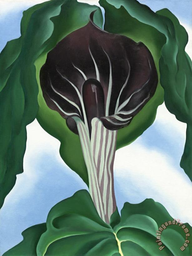 Jack in The Pulpit No. 3 painting - Georgia O'Keeffe Jack in The Pulpit No. 3 Art Print