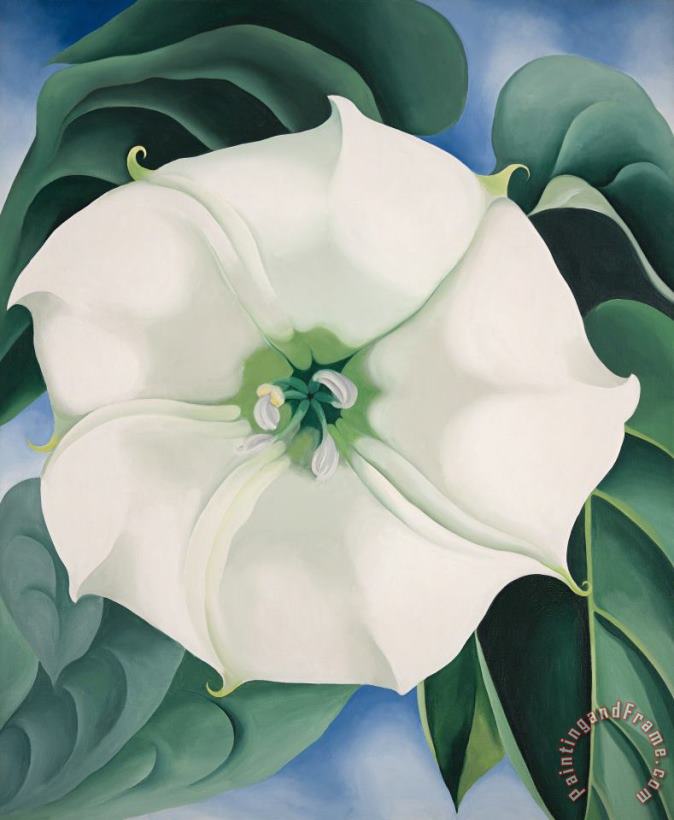 Jimson Weed White Flower No. 1, 1932 painting - Georgia O'keeffe Jimson Weed White Flower No. 1, 1932 Art Print
