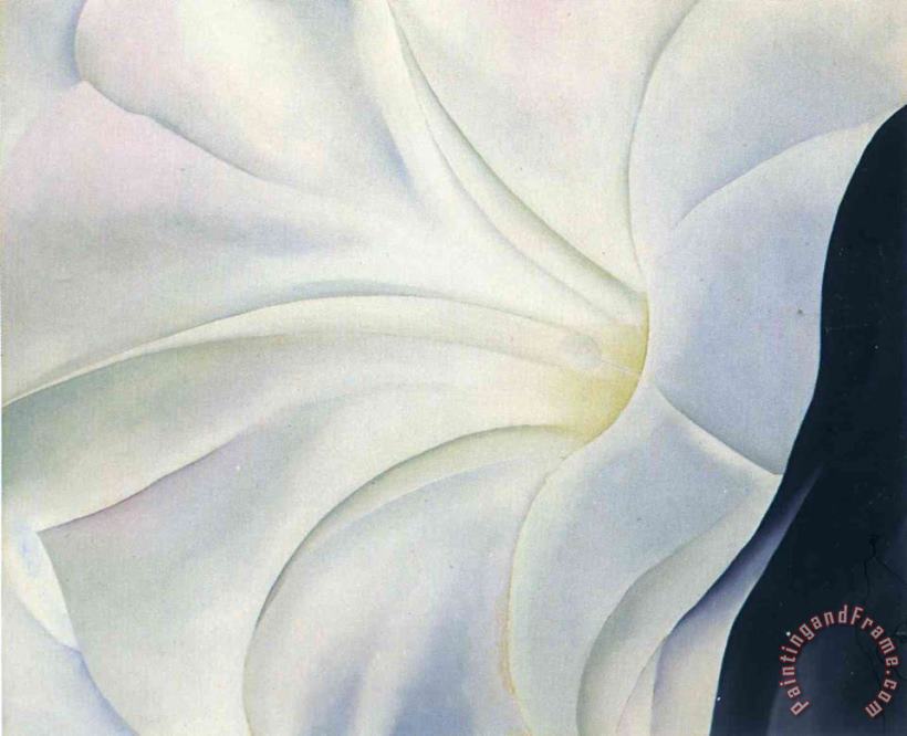 Georgia O'keeffe Morning Glory with Black painting - Morning Glory with ...