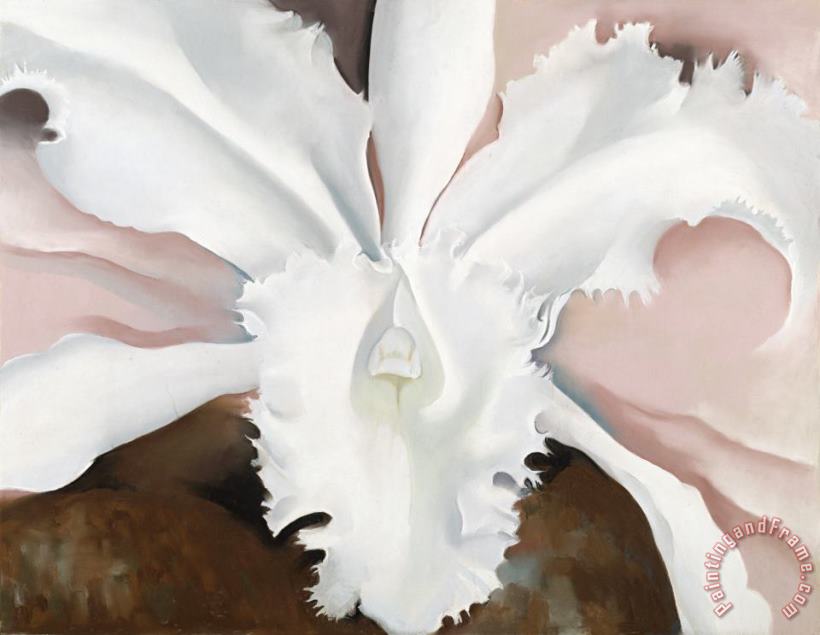 Georgia O'Keeffe Narcissa's Last Orchid Art Painting
