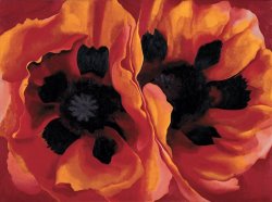 Georgia O'keeffe Oriental Poppies