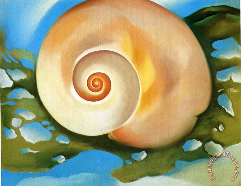 Georgia O'keeffe Pink Shell with Seaweed Art Print