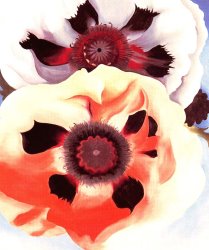 Georgia O'keeffe Poppies