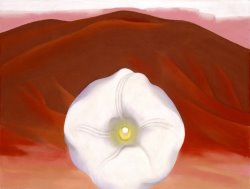 Georgia O'keeffe Red Hills And White Flower