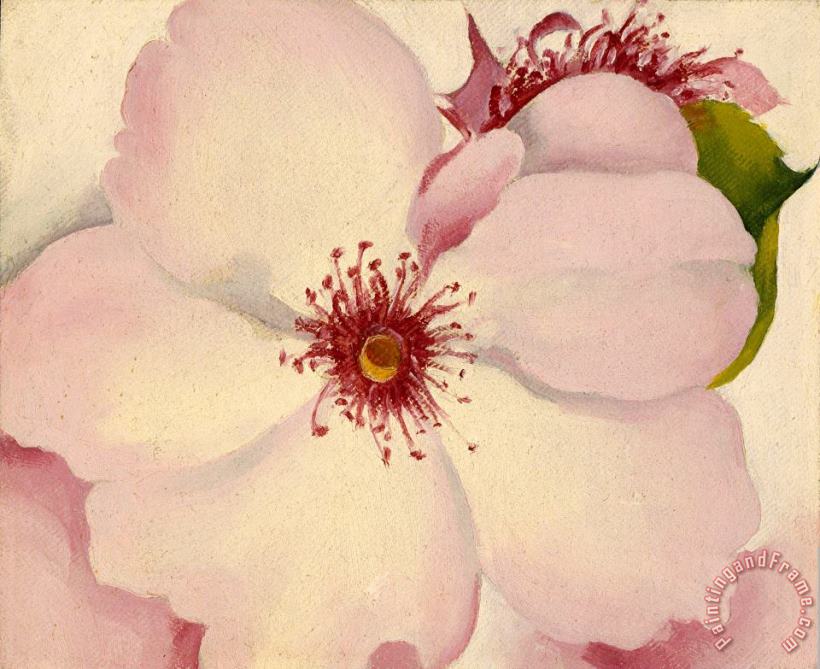 Georgia O'keeffe Rose, Ca. 1957 Art Painting