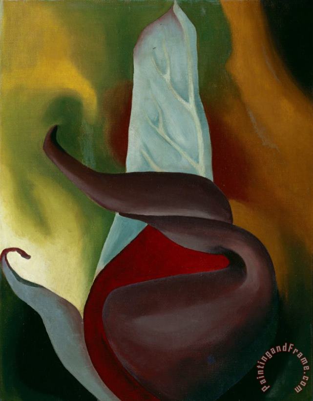 Georgia O'keeffe Skunk Cabbage, 1922 Art Painting