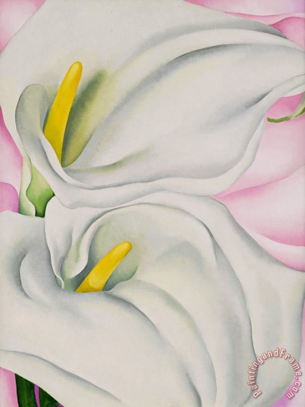 Georgia O'keeffe Two Calla Lilies on Pink, 1928 Art Print
