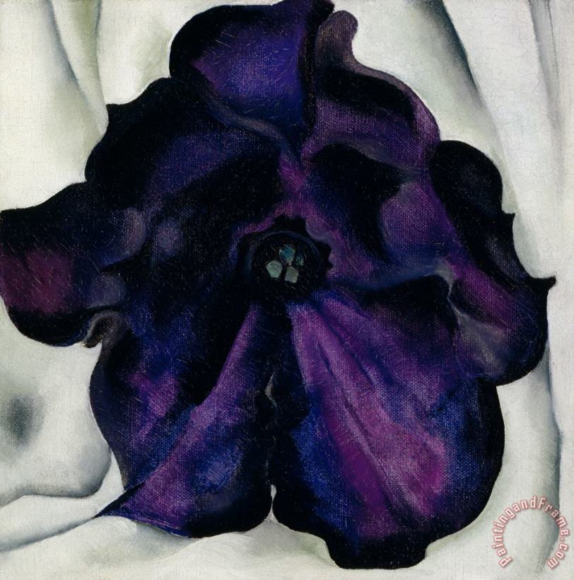 Georgia O'keeffe Untitled (purple Petunia), 1925 Art Painting