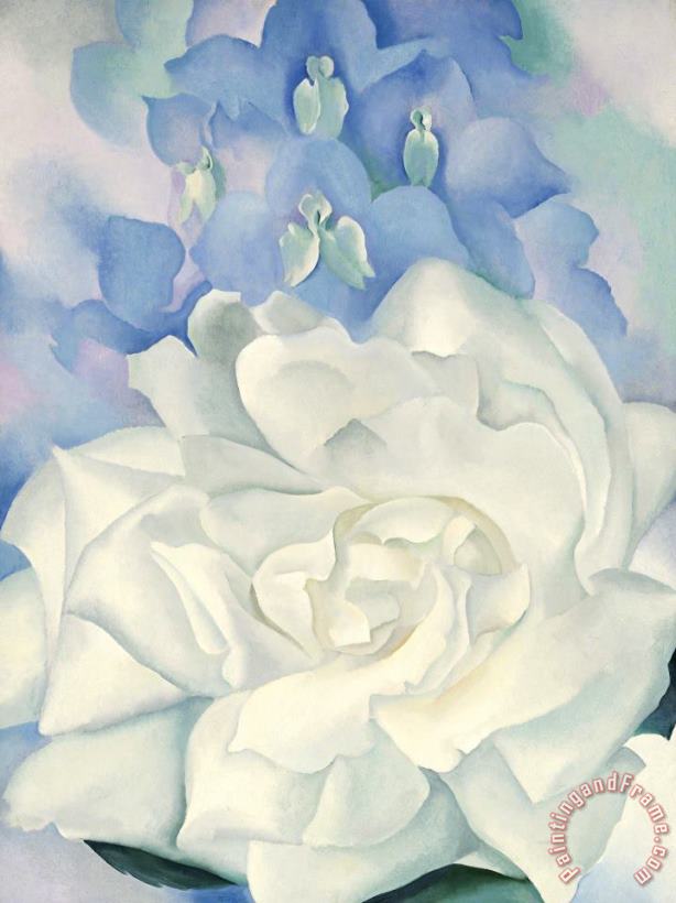 White Rose with Larkspur No. 2, 1927 painting - Georgia O'keeffe White Rose with Larkspur No. 2, 1927 Art Print