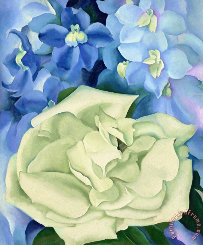 Georgia O'keeffe White Rose with Larkspur No. I, 1927 Art Print