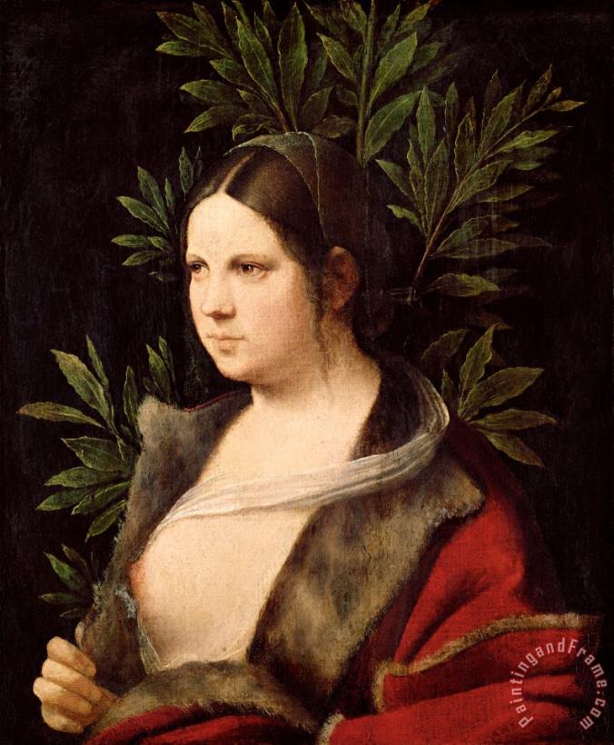 Giorgione Young Woman (laura) Art Print