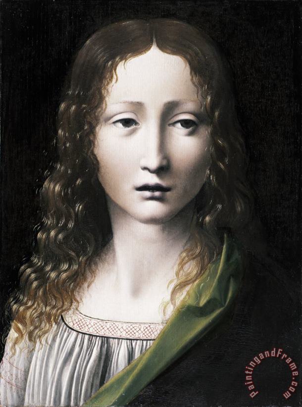Giovanni Antonio Boltraffio The Adolescent Saviour Art Painting