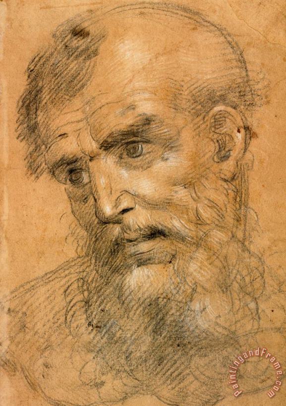 Giovanni Antonio Sogliani Head of a Bearded Man (recto); Study for a Sacra Conversazione (verso) Art Painting