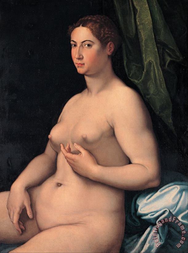 A Seated Female painting - Girolamo Siciolante da Sermoneta A Seated Female Art Print