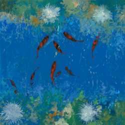 Collection 7 9 Pesciolini Rossi