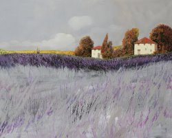 Collection 7 I Campi Di Lavanda