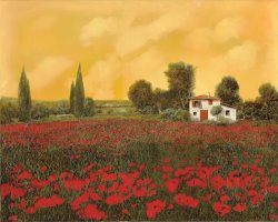 Collection 7 I Papaveri E La Calda Estate