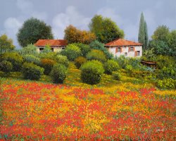 Collection 7 La Nuova Estate