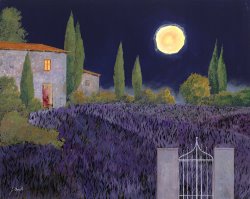 Collection 7 Lavanda Di Notte