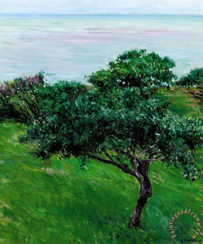 Apple Trees By The Sea Trouville painting - Gustave Caillebotte Apple Trees By The Sea Trouville Art Print