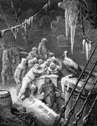 Gustave Dore The Albatross Being Fed By The Sailors On The The Ship Marooned In The Frozen Seas Of Antartica