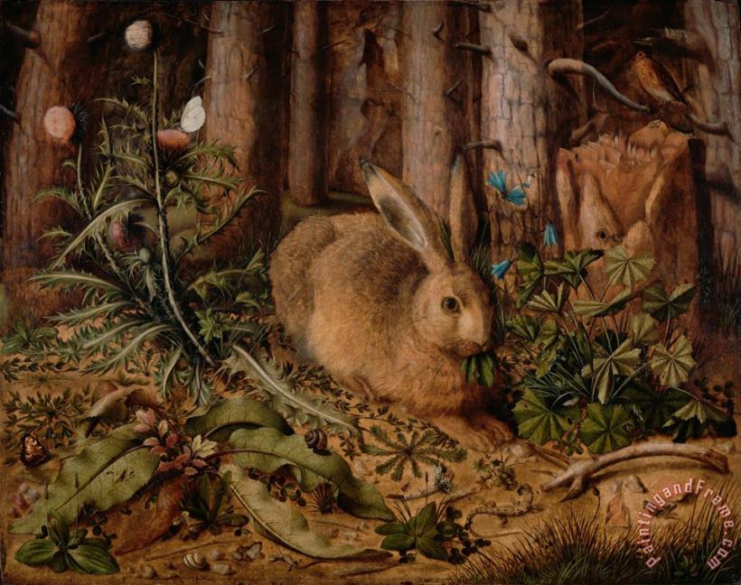 Hans Hoffmann A Hare in The Forest Art Print