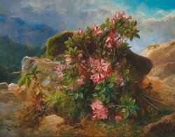 Hans Zatzka Alpine Flowers