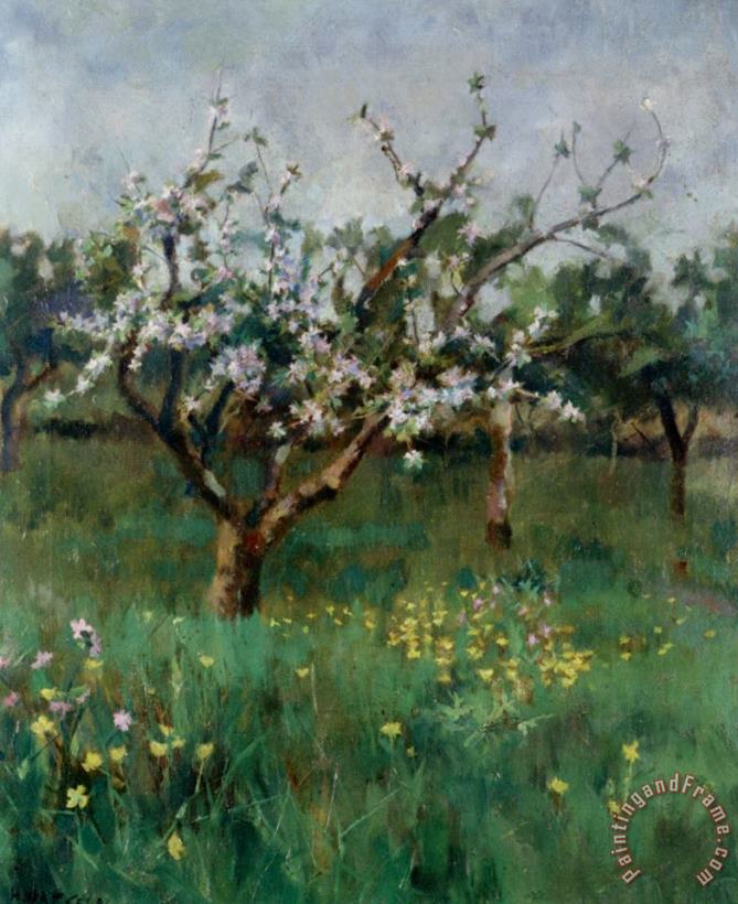 Apple Blossom painting - Harold Harvey Apple Blossom Art Print