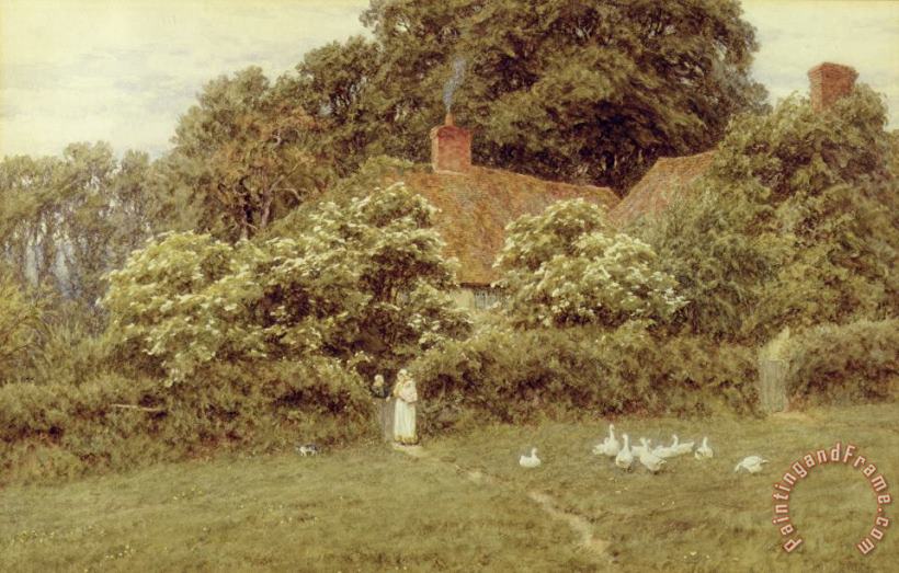 Helen Allingham A Cottage at Farringford Isle of Wight Art Print