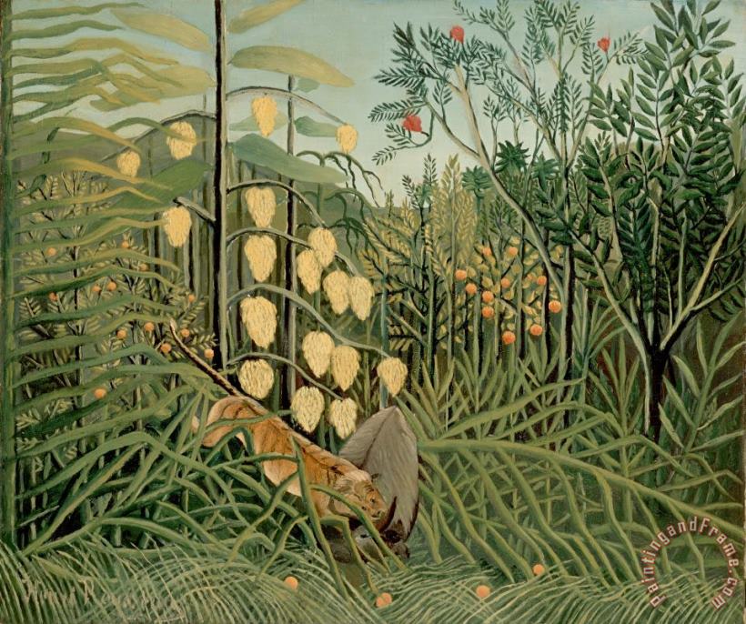 Rousseau, Henri in a Tropical Forest. Struggle Between Tiger And Bull painting - Henri Rousseau Rousseau, Henri in a Tropical Forest. Struggle Between Tiger And Bull Art Print