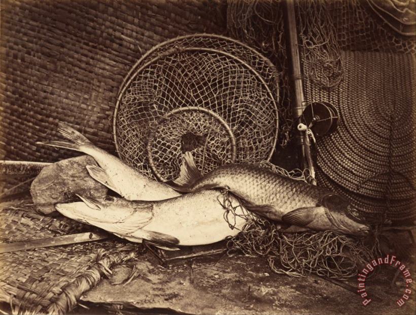 Still Life with Carp And Pike painting - Henry Bailey Still Life with Carp And Pike Art Print